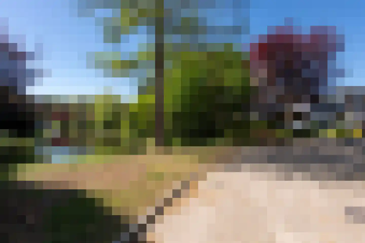 Reest 15 Tilburg thumbnail 39