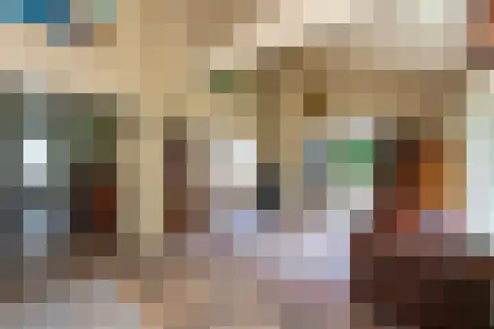 Reest 19 Tilburg thumbnail 14