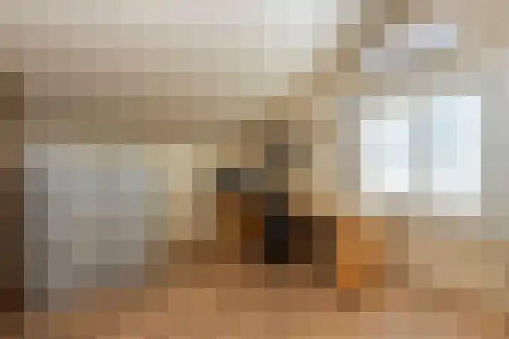 Reest 19 Tilburg thumbnail 27