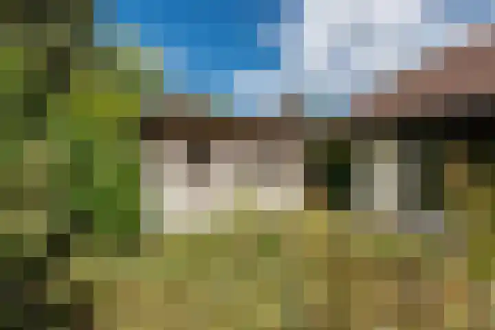 Reest 19 Tilburg thumbnail 36