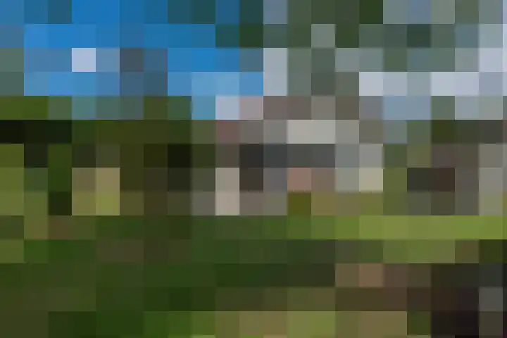 Reest 19 Tilburg thumbnail 5