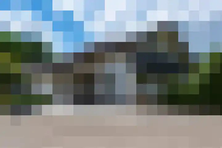 Reest 19 Tilburg thumbnail 6