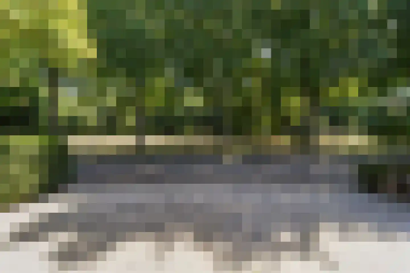 Reest 26 Tilburg thumbnail 30