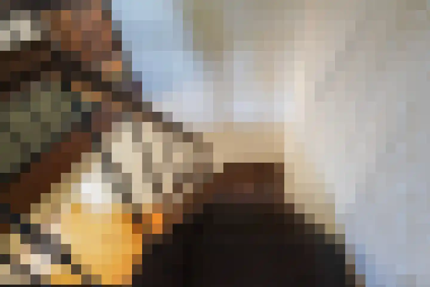 Reest 26 Tilburg thumbnail 32
