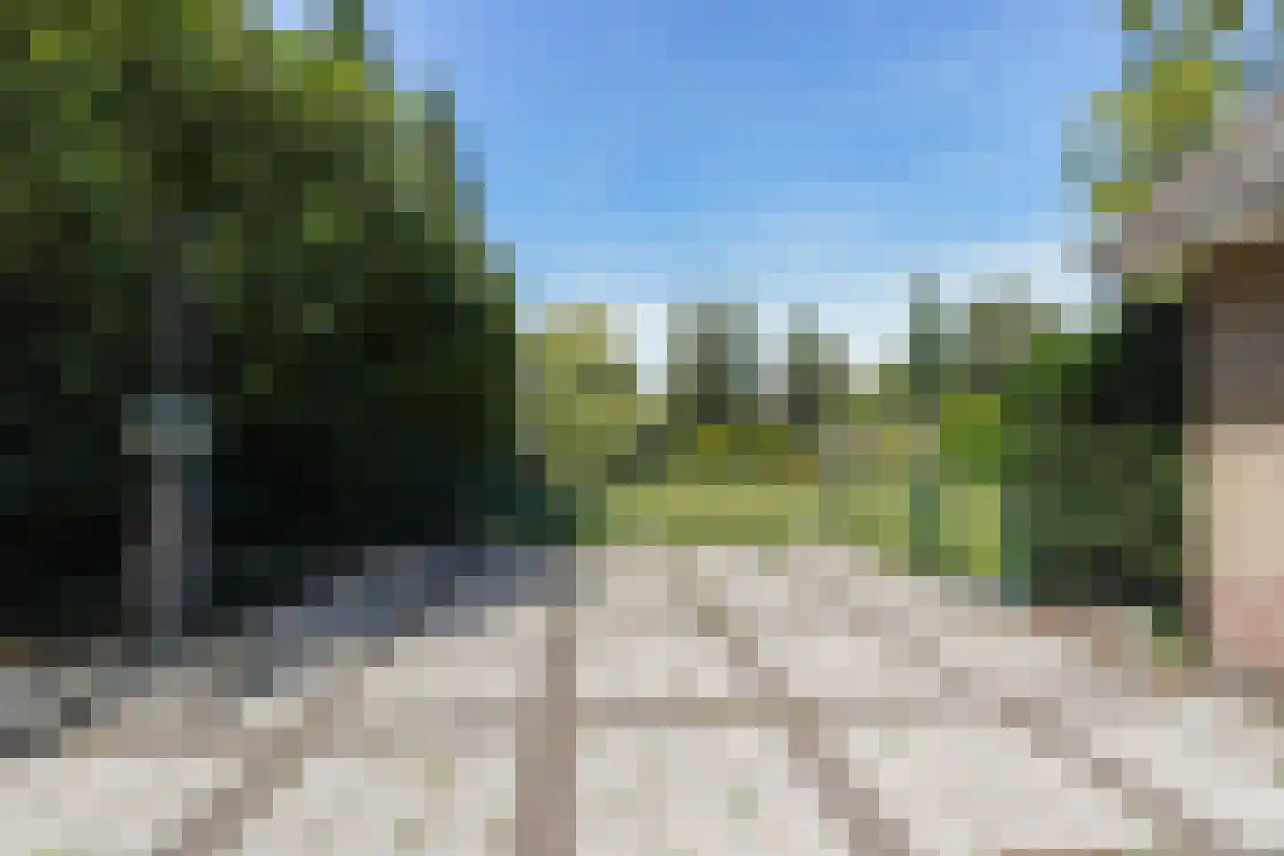 Reest 26 Tilburg thumbnail 45