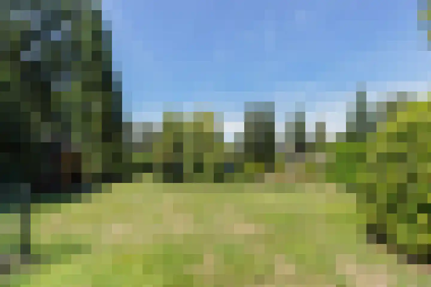 Reest 26 Tilburg thumbnail 46