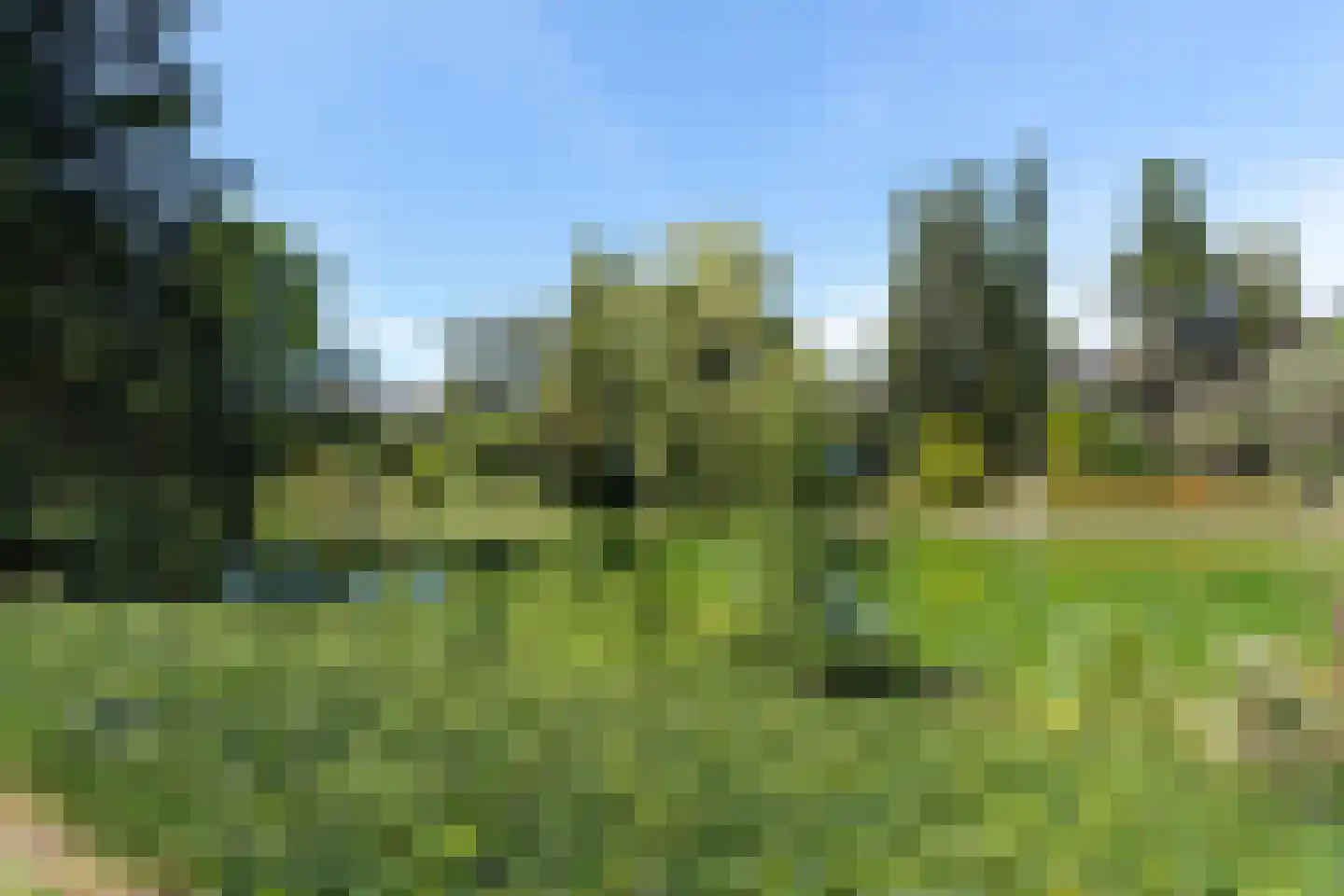 Reest 26 Tilburg thumbnail 47