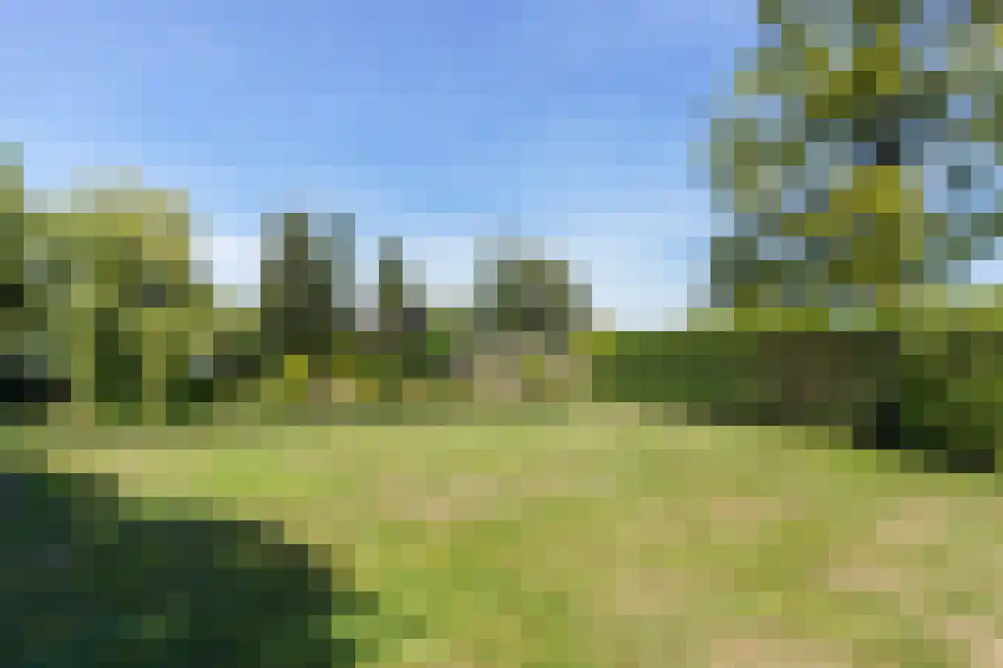 Reest 26 Tilburg thumbnail 48