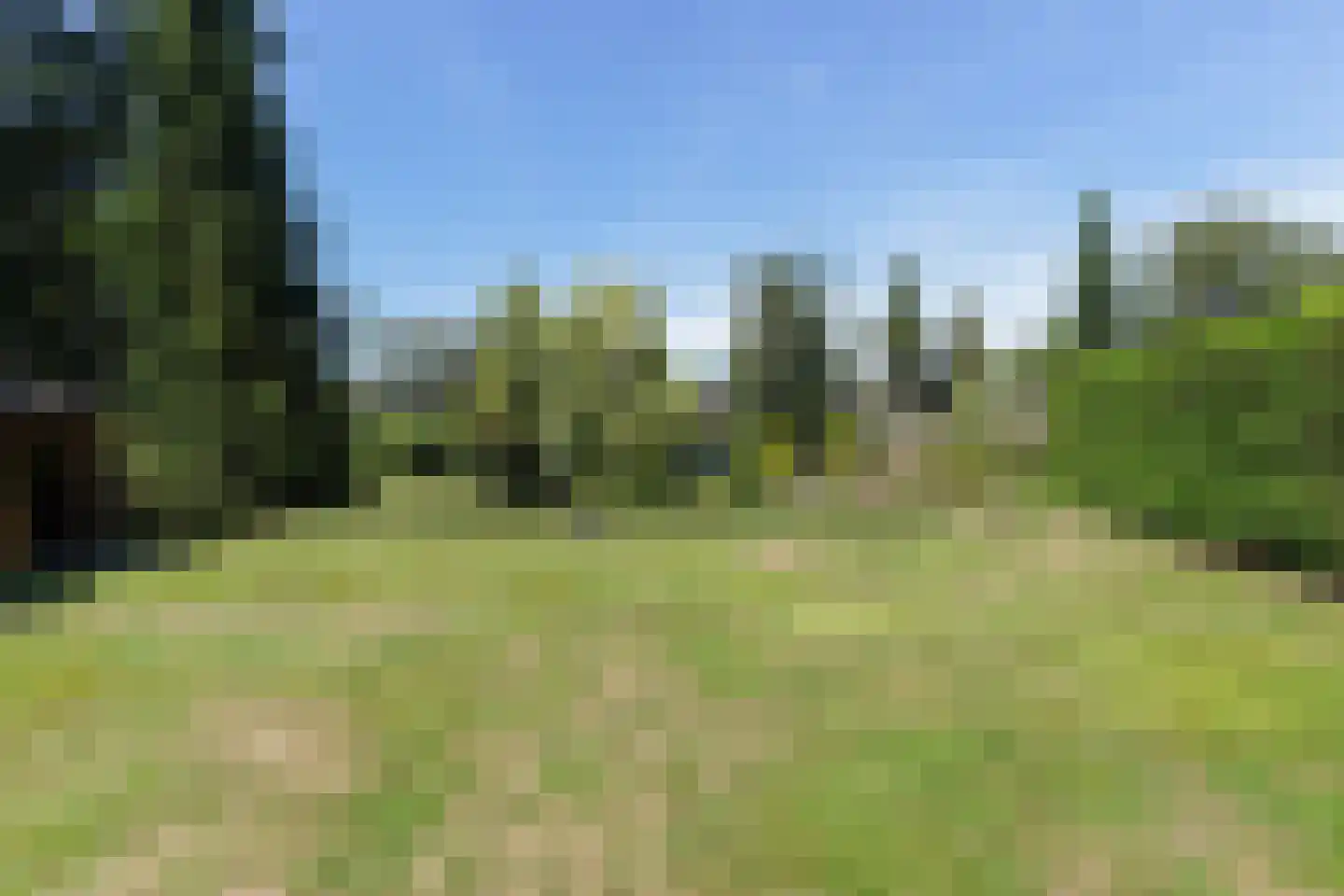 Reest 26 Tilburg thumbnail 49