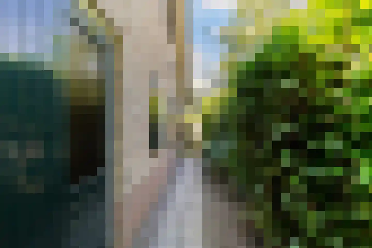 Reest 26 Tilburg thumbnail 52