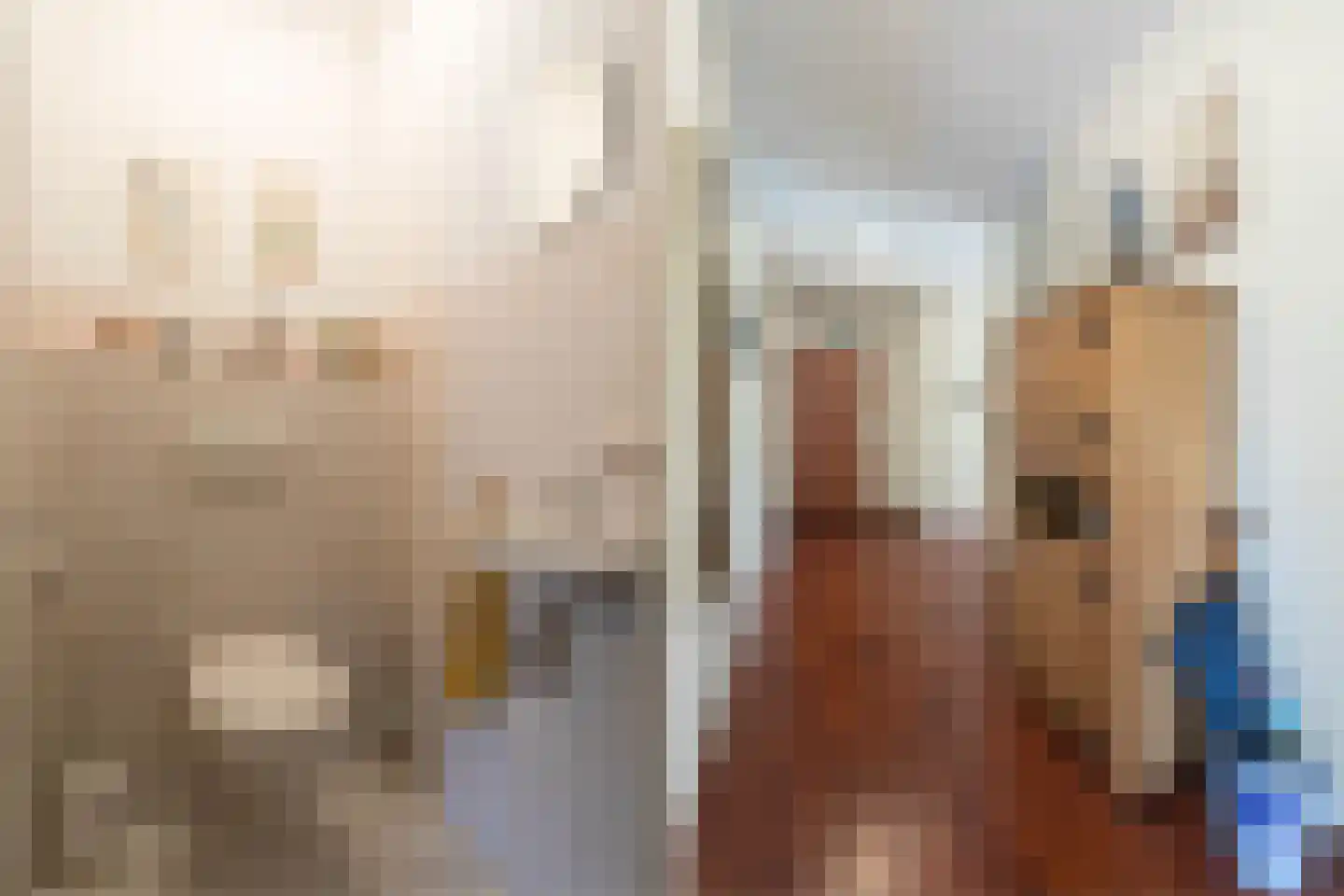 Reestlaan 132 Meppel thumbnail 28