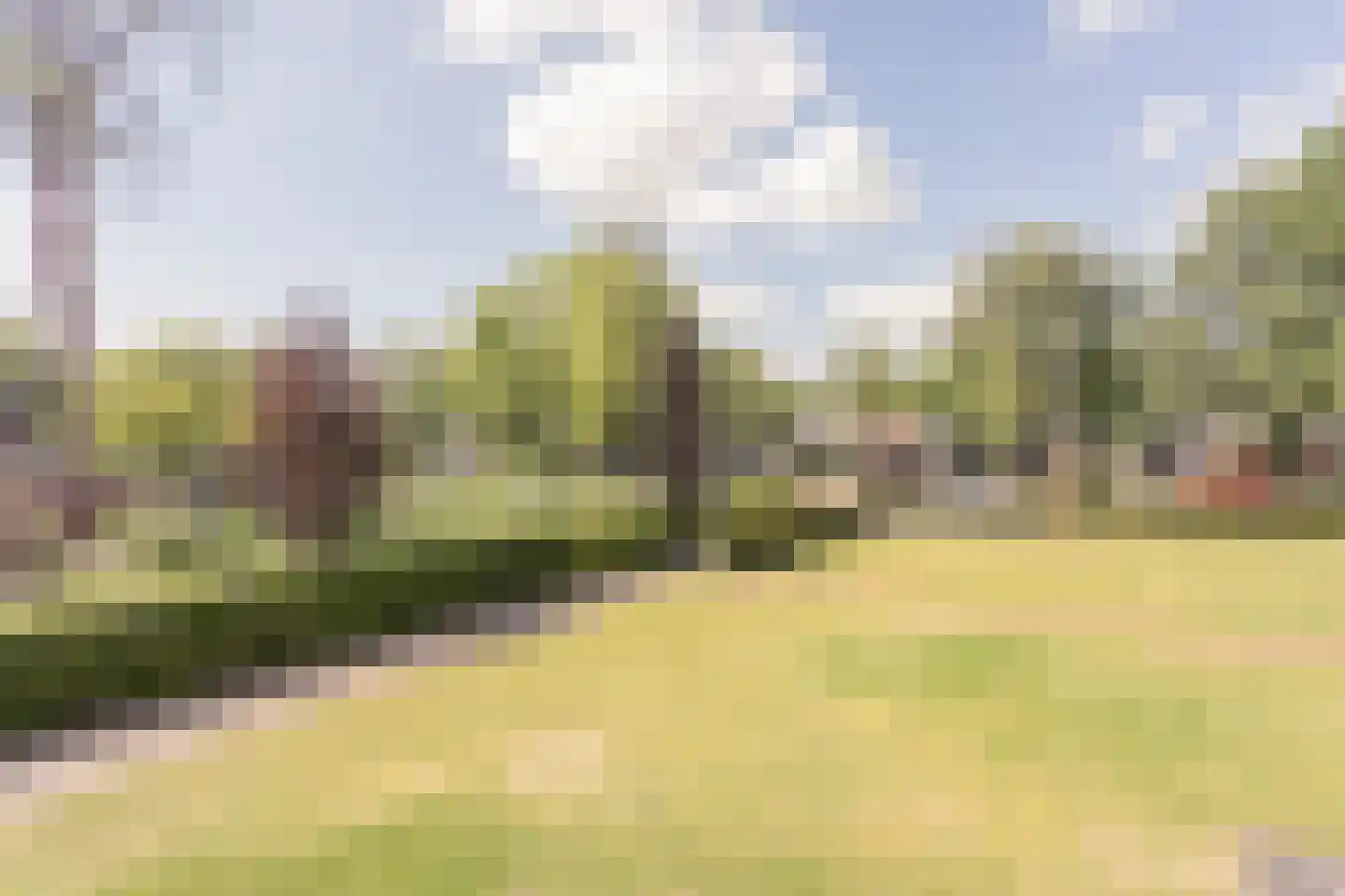 Reestlaan 132 Meppel thumbnail 33