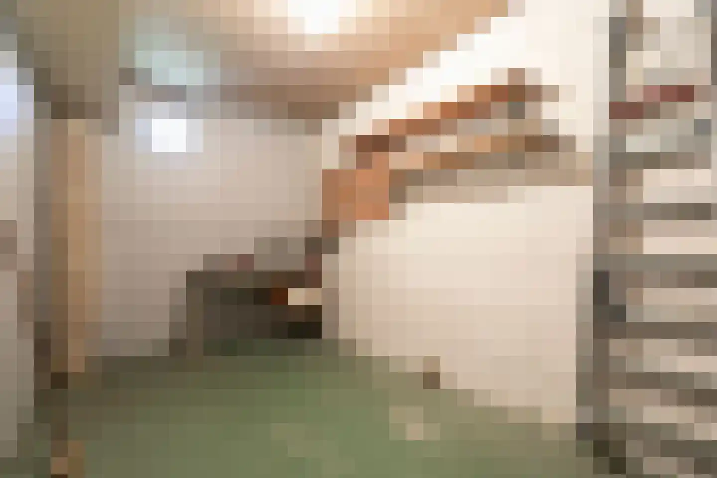 Reestlaan 132 Meppel thumbnail 35