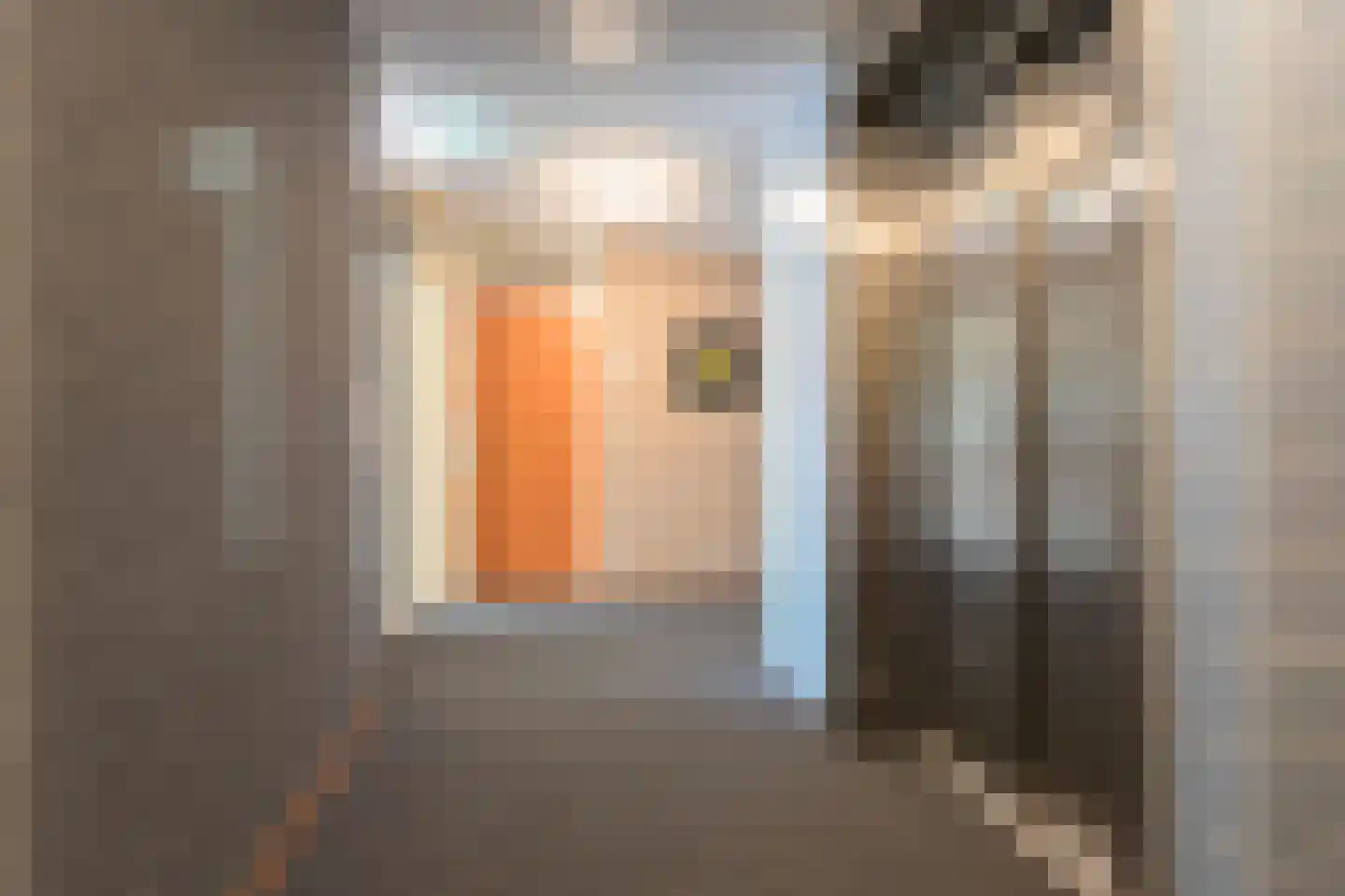 Reestlaan 132 Meppel thumbnail 38