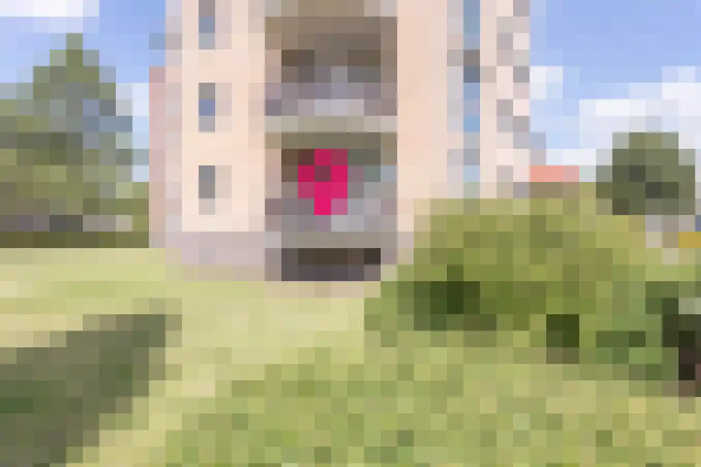 Reestlaan 132 Meppel thumbnail 39