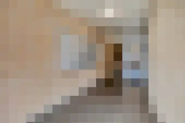 Reestlaan 140 Meppel thumbnail 10