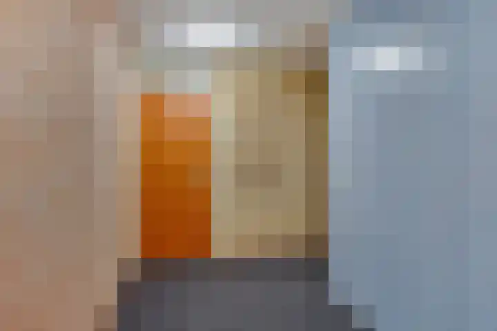 Reestlaan 140 Meppel thumbnail 11