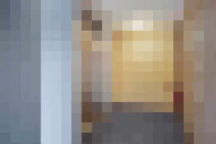 Reestlaan 140 Meppel thumbnail 12