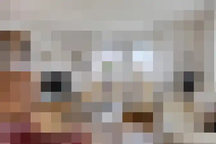 Reestlaan 140 Meppel thumbnail 16