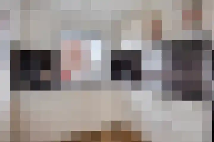 Reestlaan 140 Meppel thumbnail 19