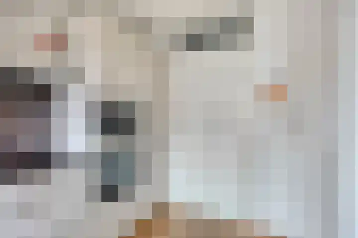 Reestlaan 140 Meppel thumbnail 20