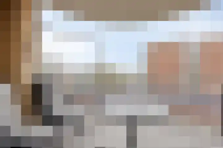 Reestlaan 140 Meppel thumbnail 22