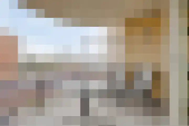 Reestlaan 140 Meppel thumbnail 23