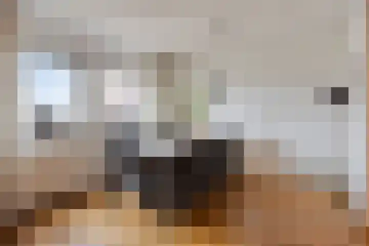 Reestlaan 140 Meppel thumbnail 26