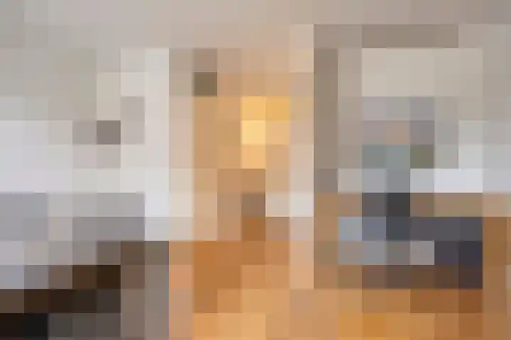 Reestlaan 140 Meppel thumbnail 27