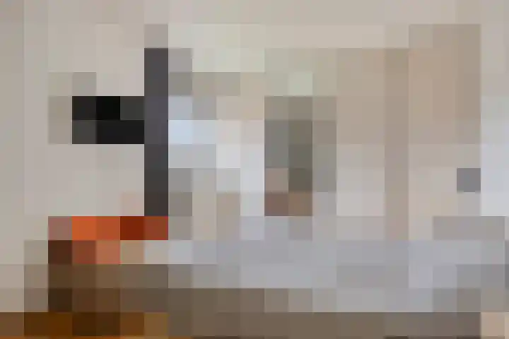 Reestlaan 140 Meppel thumbnail 28