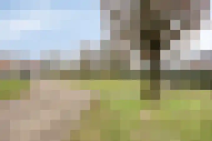 Reestlaan 140 Meppel thumbnail 37