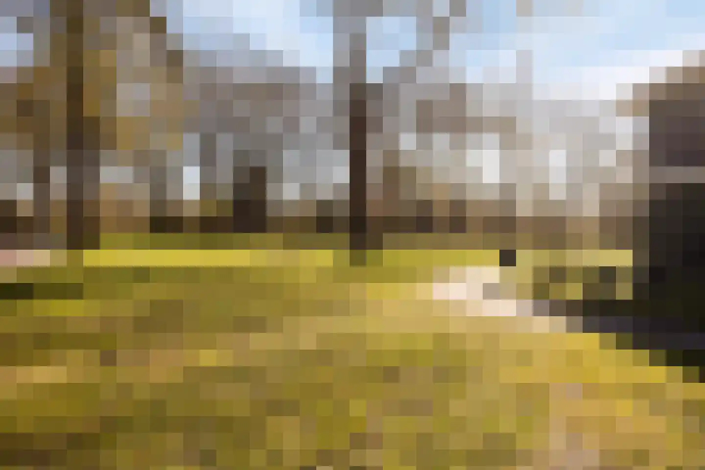 Reestlaan 142 Meppel thumbnail 39