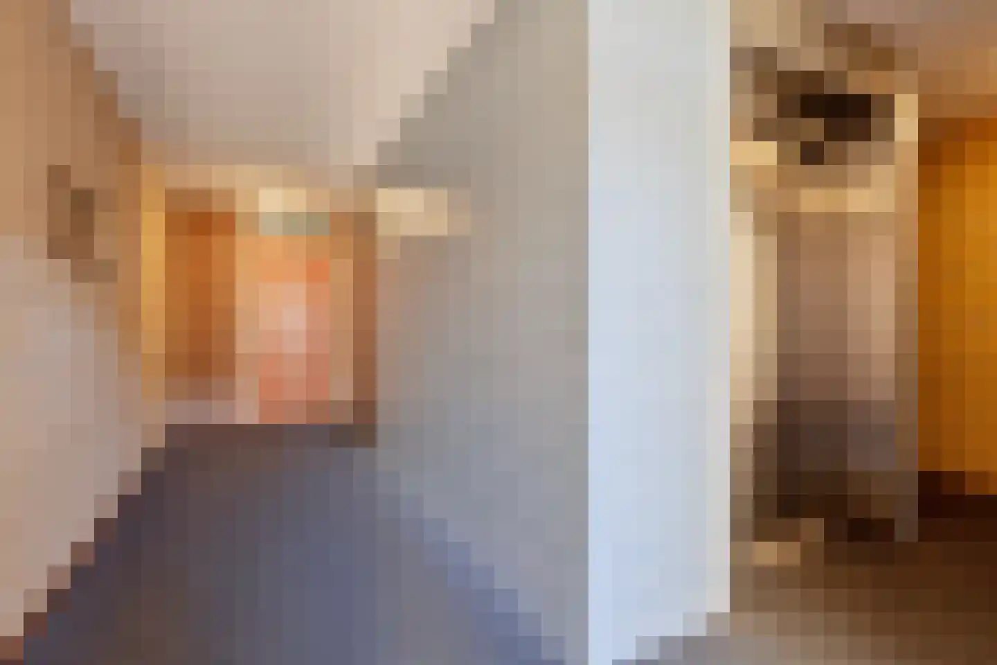 Reestlaan 142 Meppel thumbnail 8