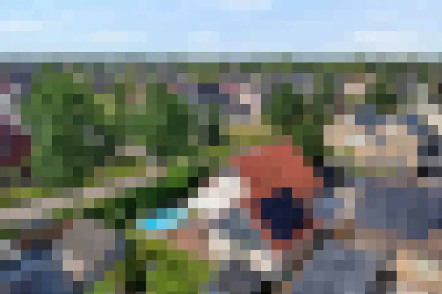 Reestland 7 Nieuwleusen thumbnail 10