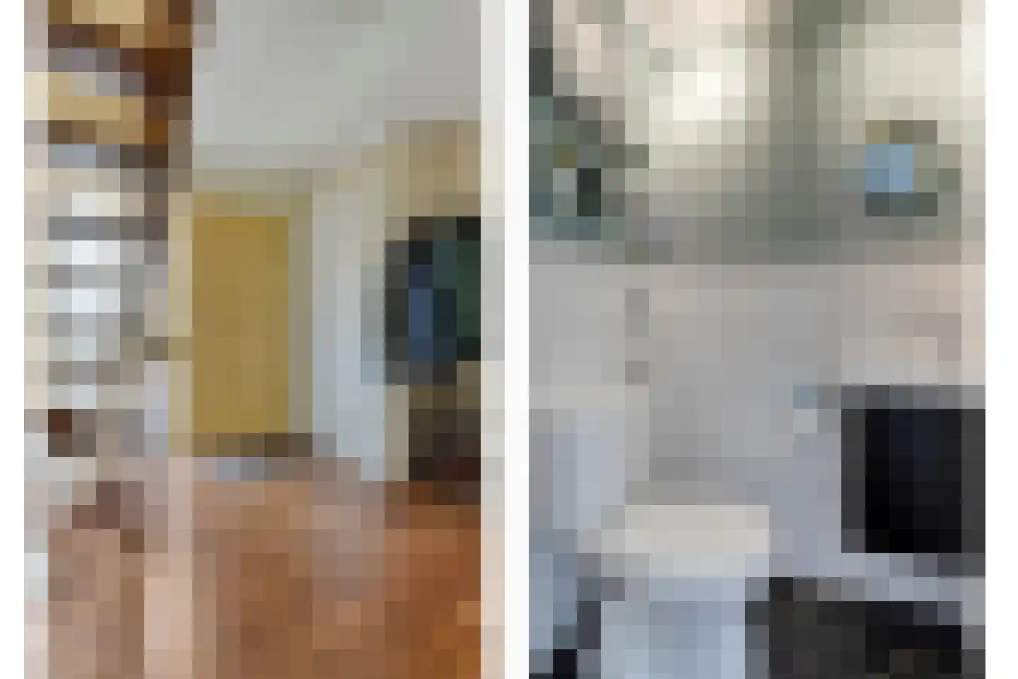 Reestland 7 Nieuwleusen thumbnail 20