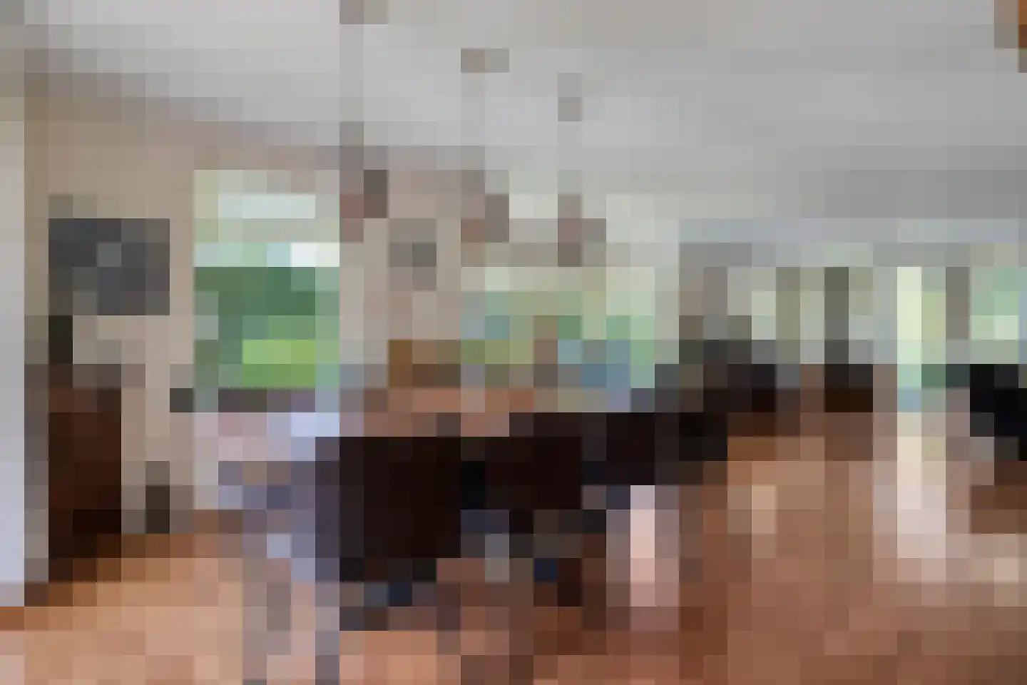 Reestland 7 Nieuwleusen thumbnail 29