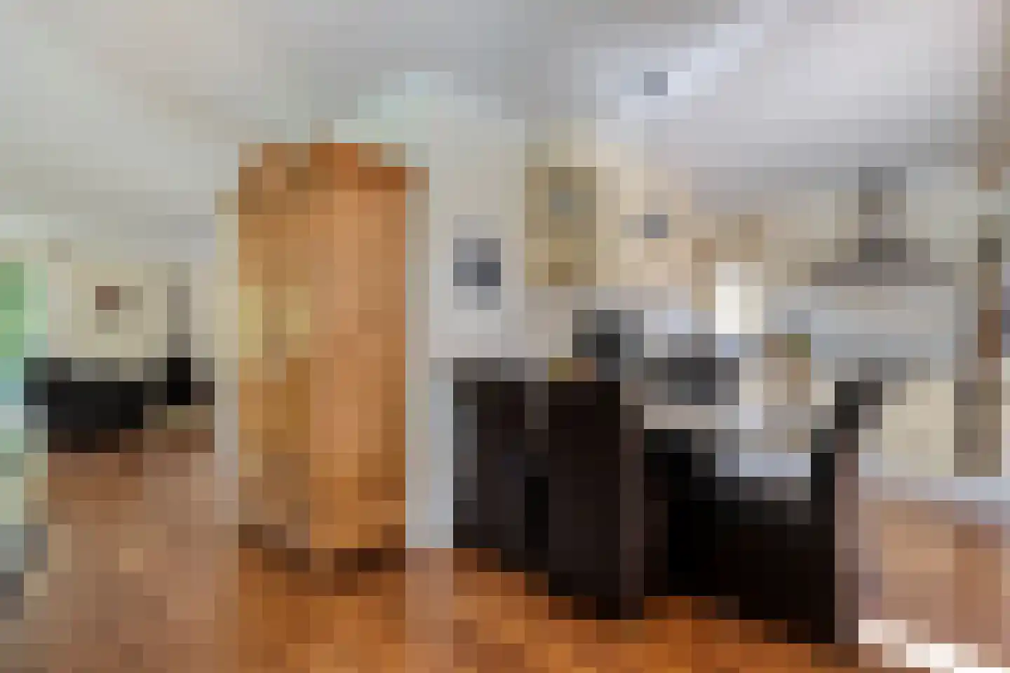 Reestland 7 Nieuwleusen thumbnail 30