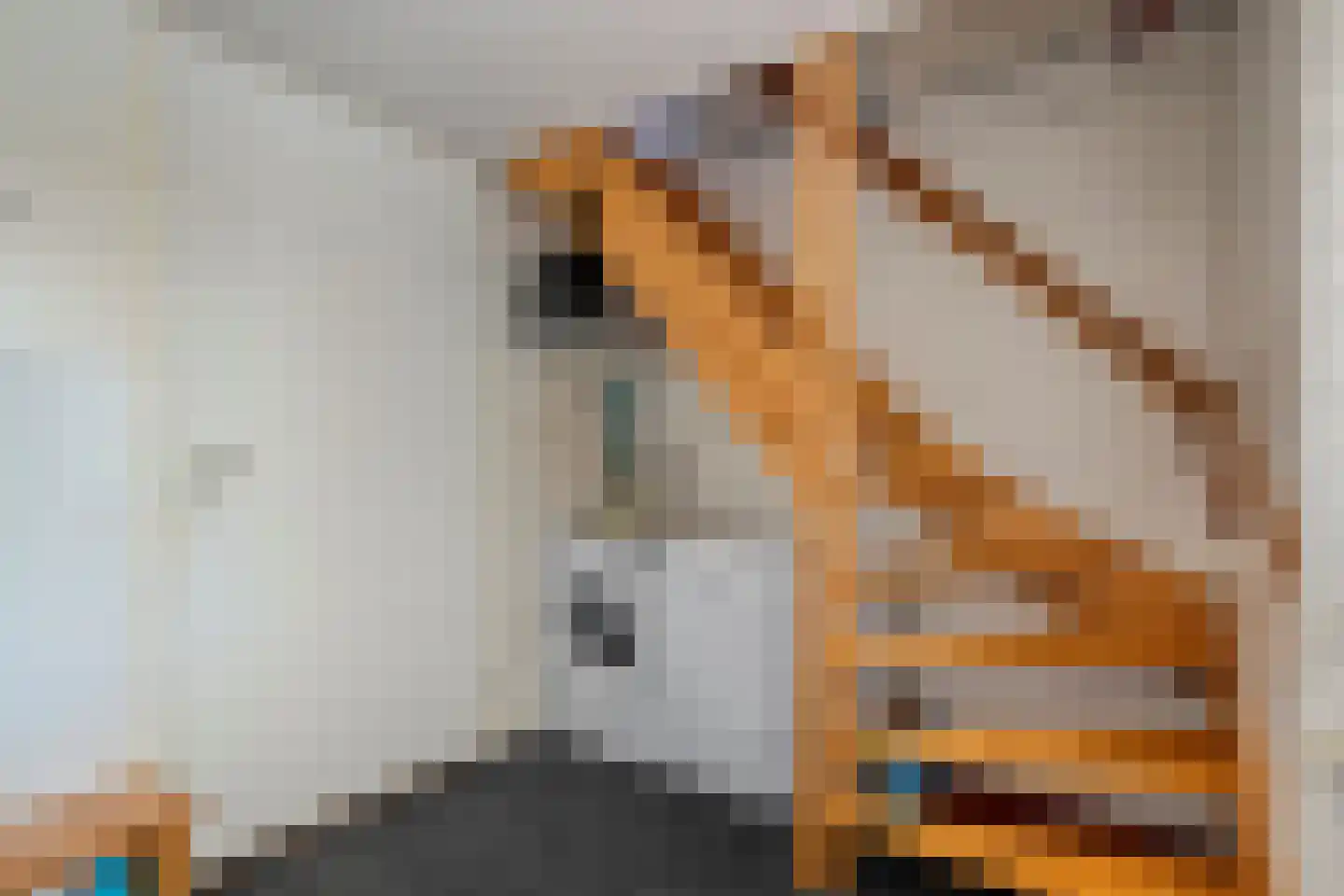 Reestland 7 Nieuwleusen thumbnail 35