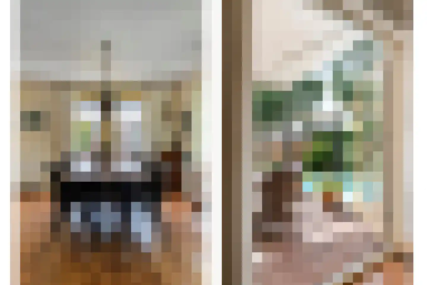 Reestland 7 Nieuwleusen thumbnail 4