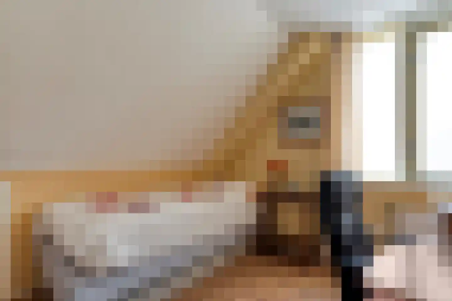 Reestland 7 Nieuwleusen thumbnail 41