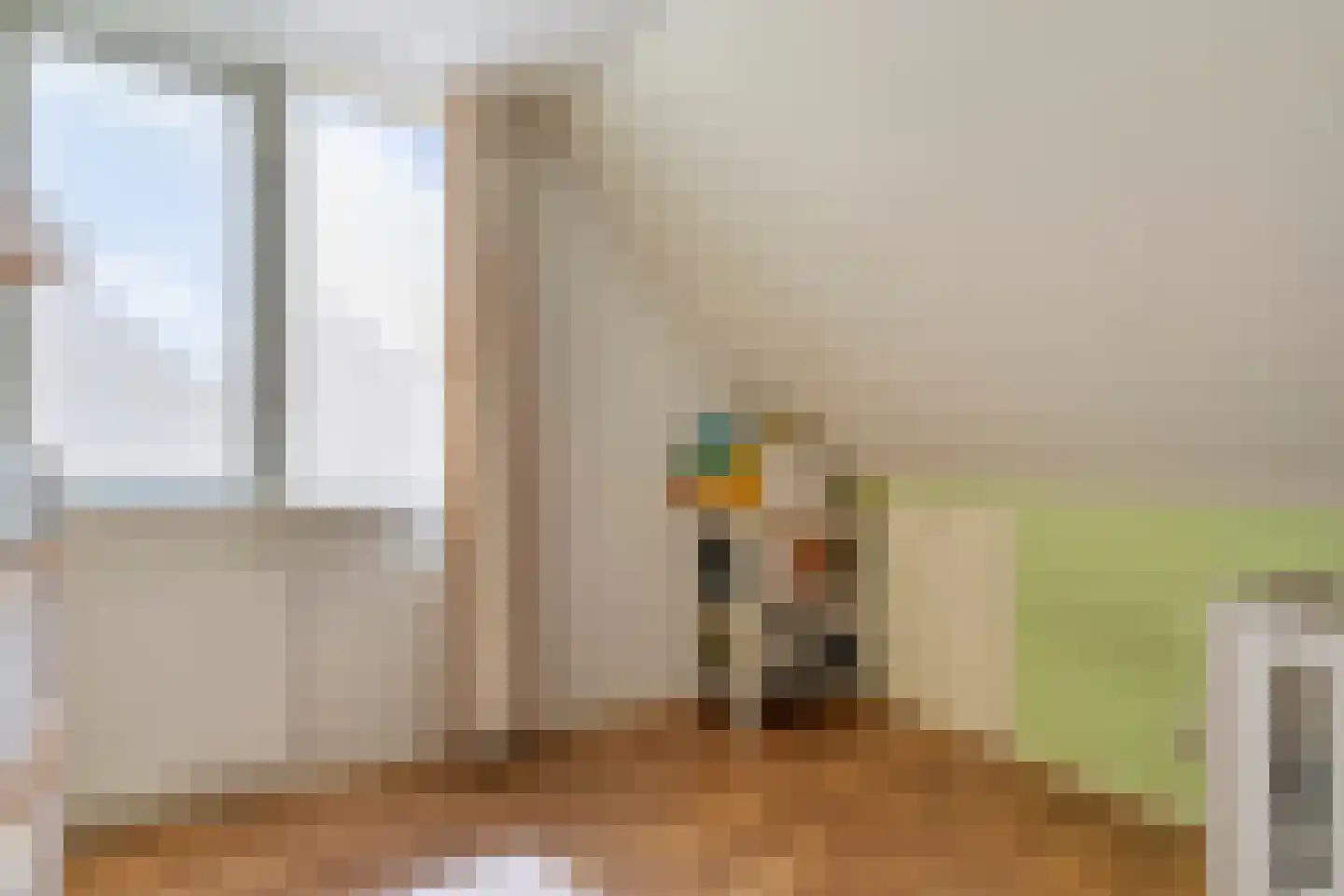 Reestland 7 Nieuwleusen thumbnail 43