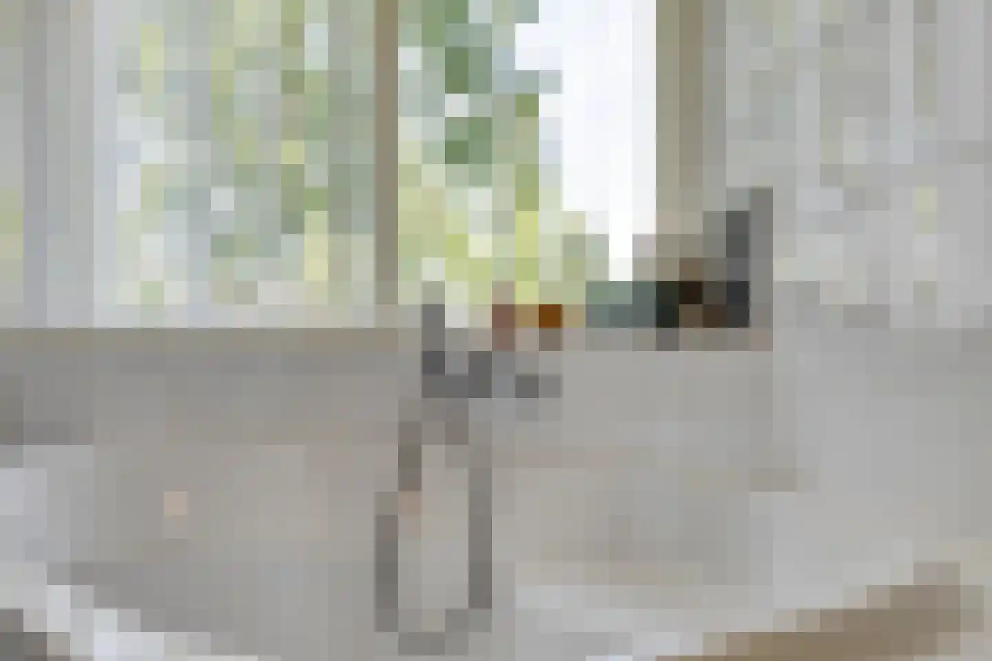 Reestland 7 Nieuwleusen thumbnail 49
