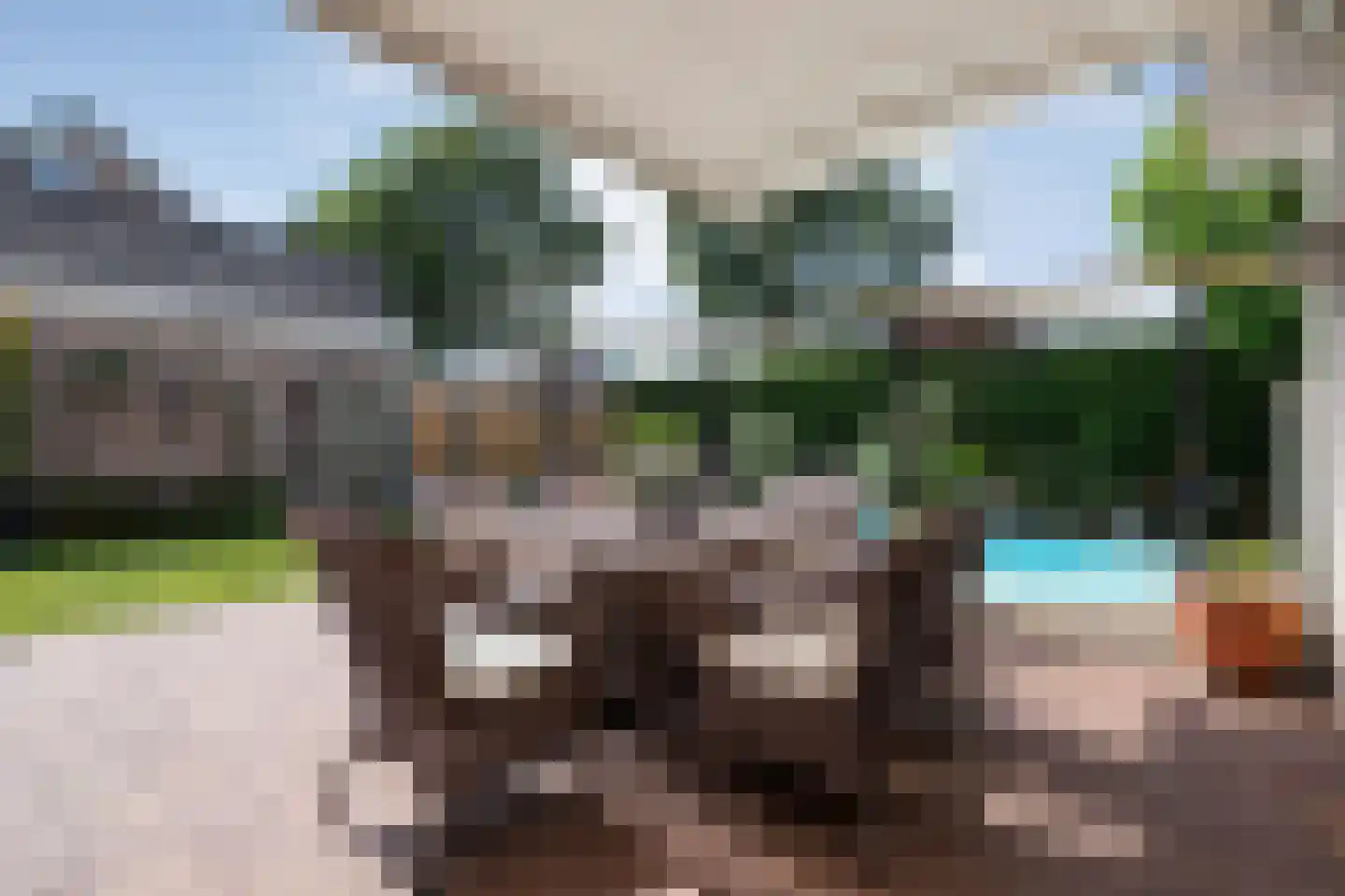 Reestland 7 Nieuwleusen thumbnail 50