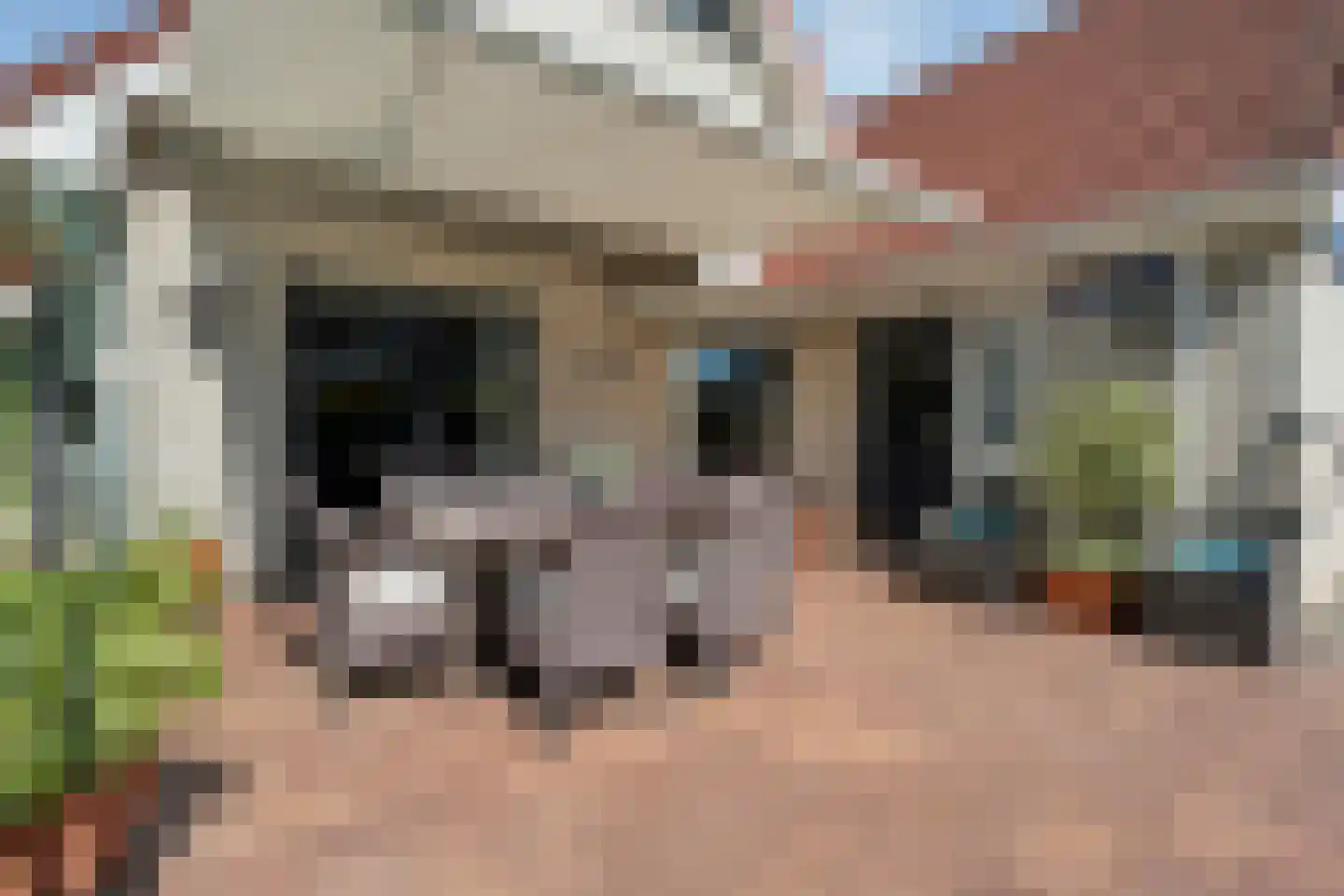Reestland 7 Nieuwleusen thumbnail 51