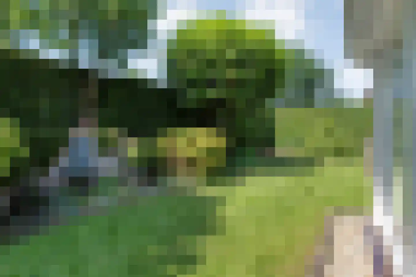 Reestland 7 Nieuwleusen thumbnail 56