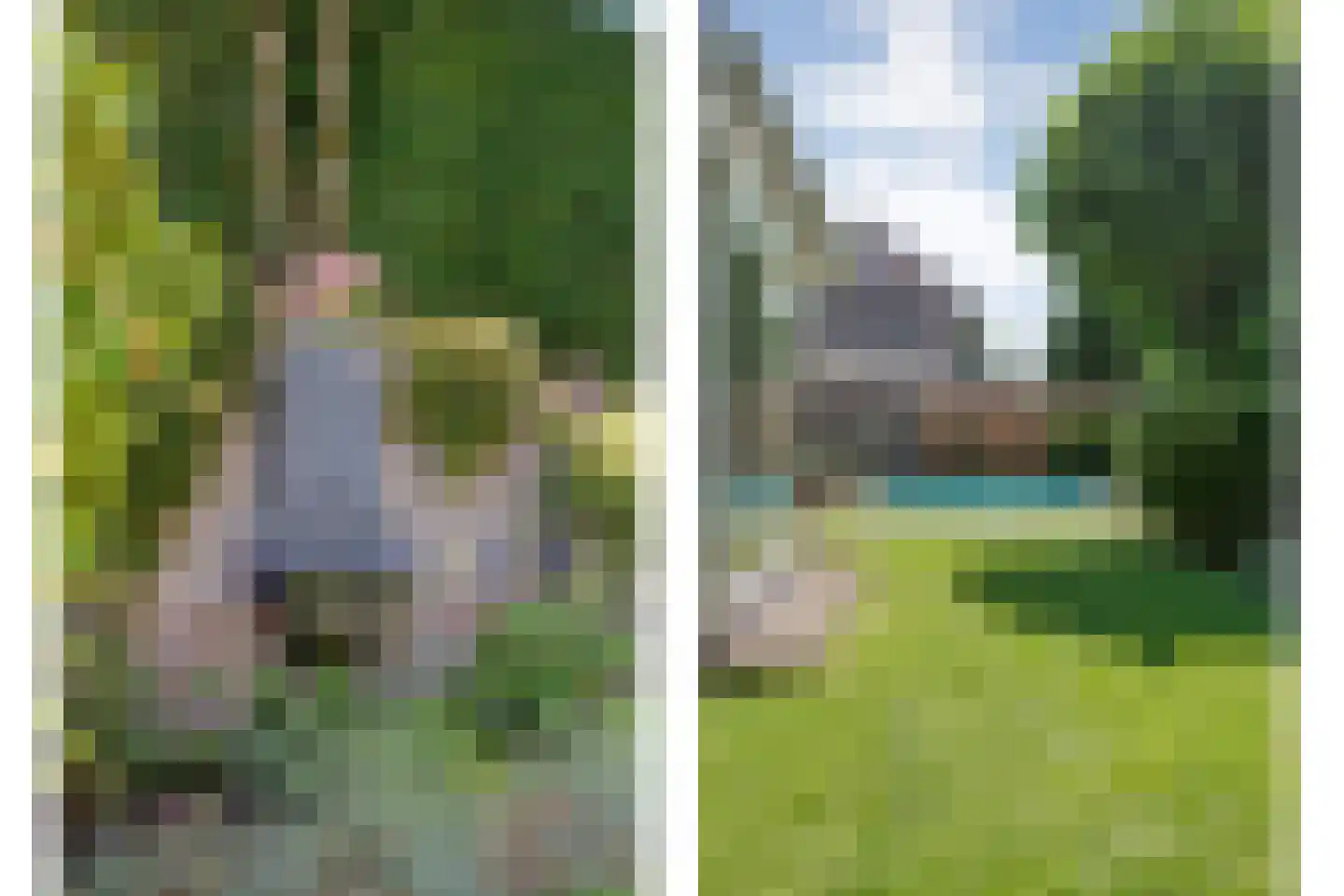 Reestland 7 Nieuwleusen thumbnail 57
