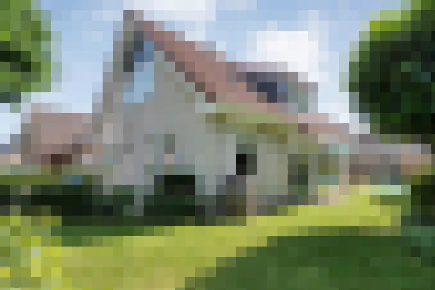 Reestland 7 Nieuwleusen thumbnail 58
