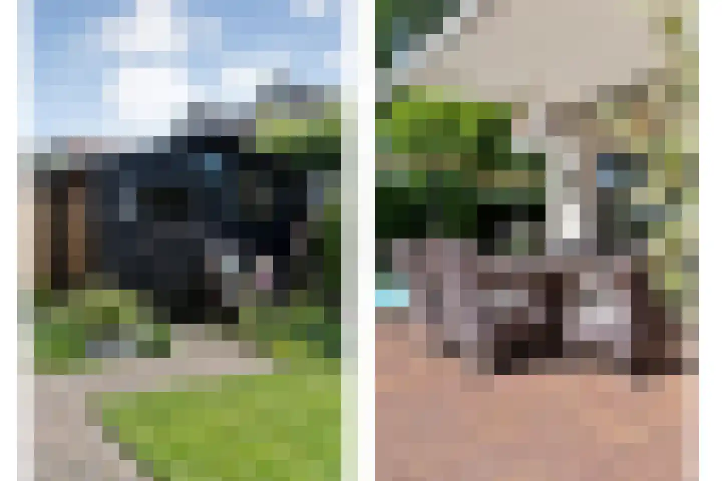 Reestland 7 Nieuwleusen thumbnail 59