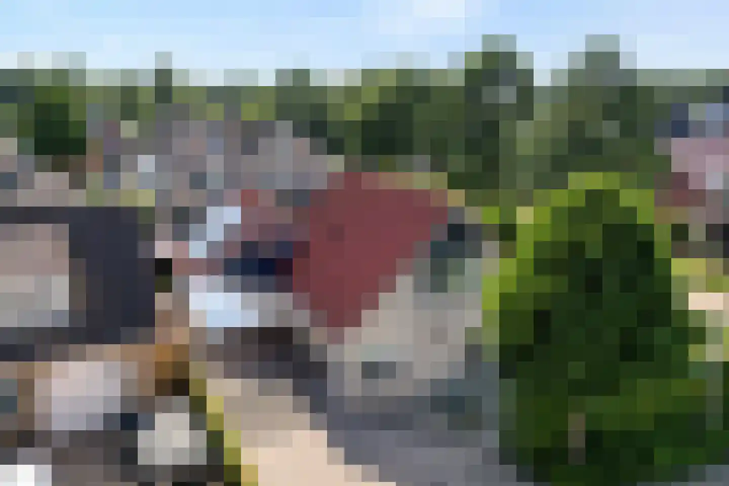 Reestland 7 Nieuwleusen thumbnail 6