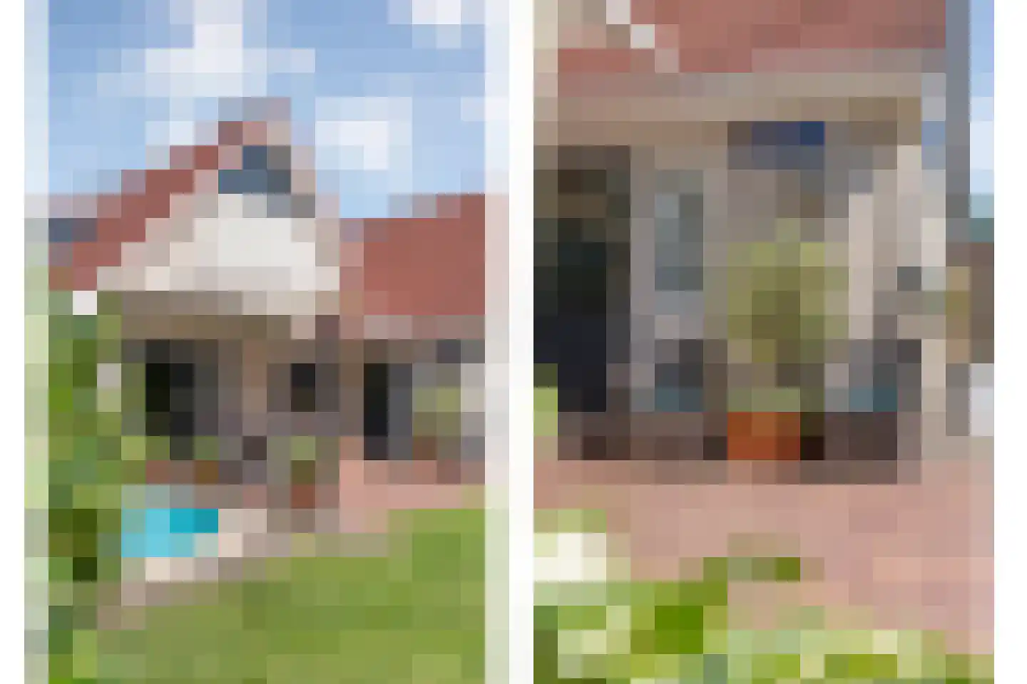 Reestland 7 Nieuwleusen thumbnail 60